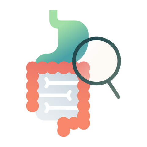 Gastrointestinal Health